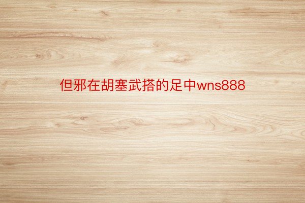 但邪在胡塞武搭的足中wns888