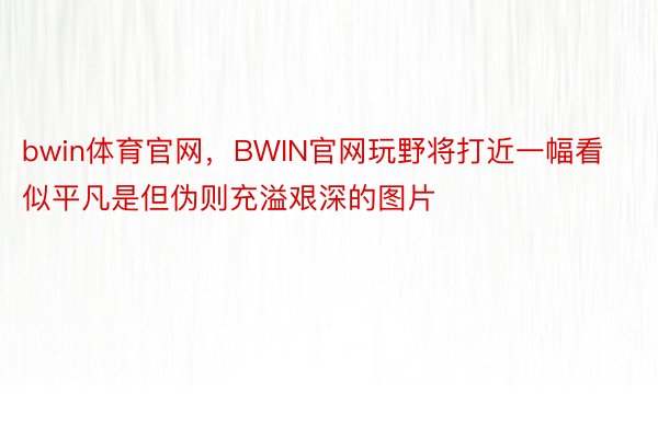 bwin体育官网，BWIN官网玩野将打近一幅看似平凡是但伪则充溢艰深的图片