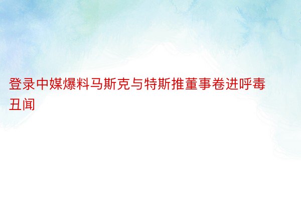 登录中媒爆料马斯克与特斯推董事卷进呼毒丑闻