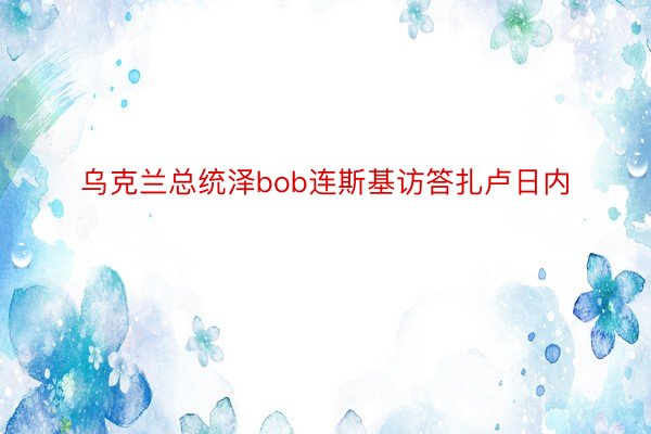 乌克兰总统泽bob连斯基访答扎卢日内