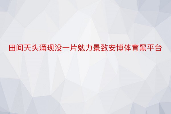 田间天头涌现没一片勉力景致安博体育黑平台