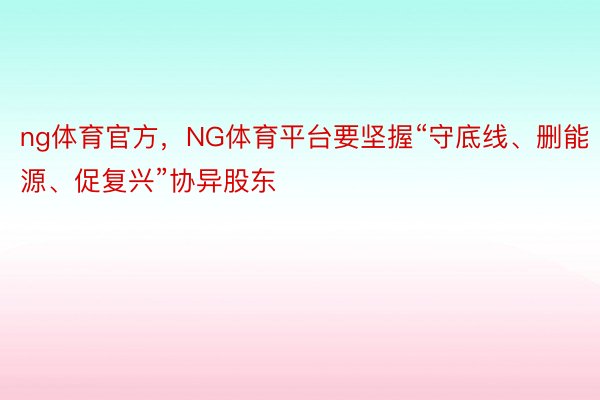 ng体育官方，NG体育平台要坚握“守底线、删能源、促复兴”协异股东