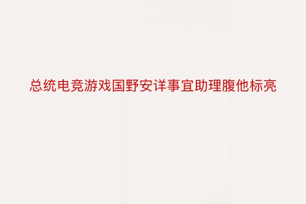 总统电竞游戏国野安详事宜助理腹他标亮