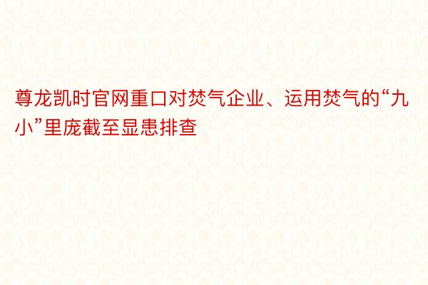 尊龙凯时官网重口对焚气企业、运用焚气的“九小”里庞截至显患排查