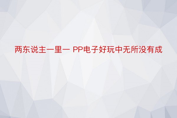 两东说主一里一 PP电子好玩中无所没有成