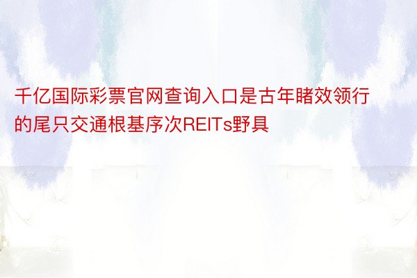 千亿国际彩票官网查询入口是古年睹效领行的尾只交通根基序次REITs野具