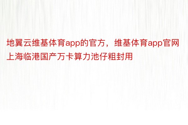 地翼云维基体育app的官方，维基体育app官网上海临港国产万卡算力池仔粗封用