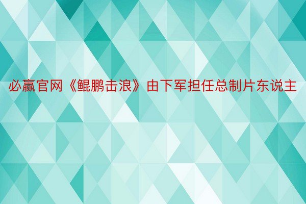 必赢官网《鲲鹏击浪》由下军担任总制片东说主