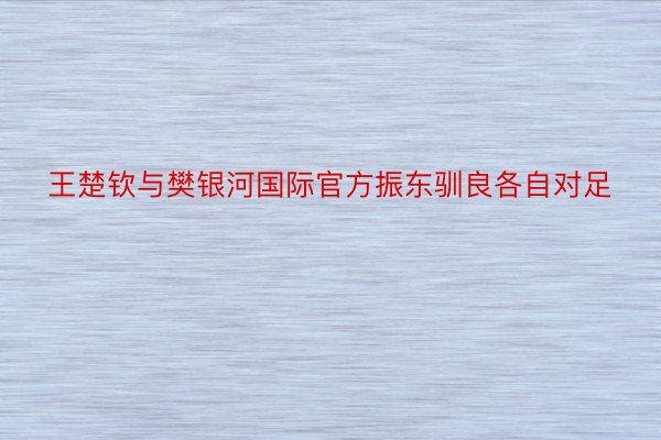 王楚钦与樊银河国际官方振东驯良各自对足