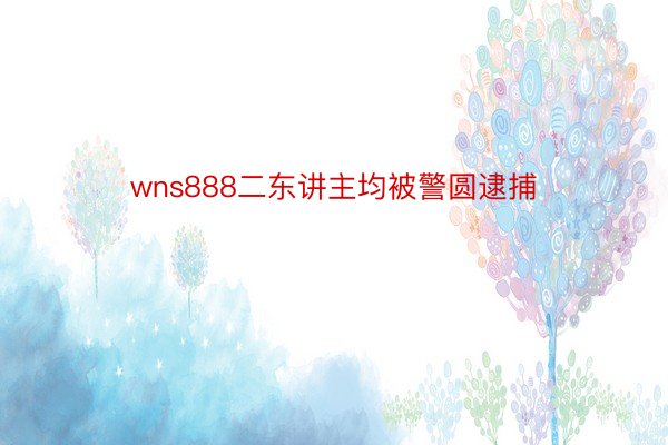 wns888二东讲主均被警圆逮捕