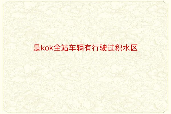 是kok全站车辆有行驶过积水区