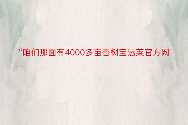 “咱们那面有4000多亩杏树宝运莱官方网