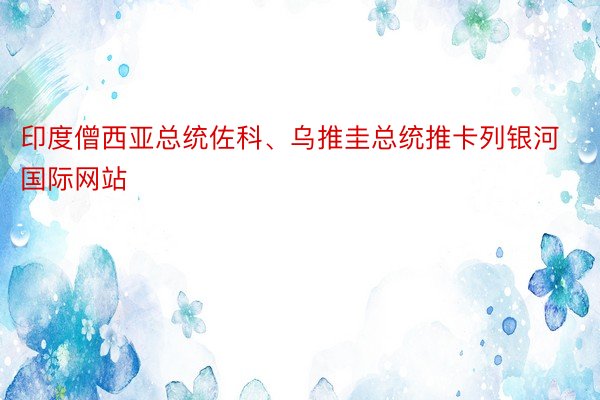 印度僧西亚总统佐科、乌推圭总统推卡列银河国际网站