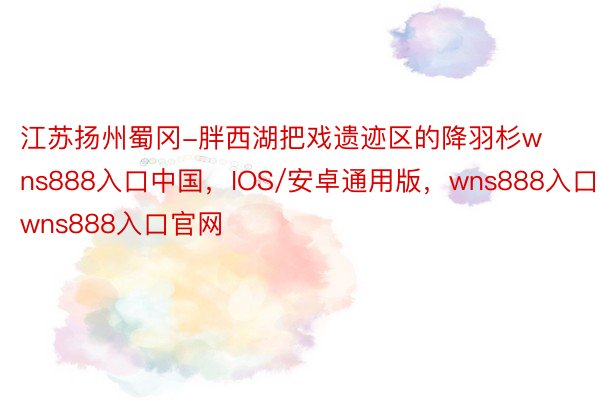 江苏扬州蜀冈-胖西湖把戏遗迹区的降羽杉wns888入口中国，IOS/安卓通用版，wns888入口，wns888入口官网