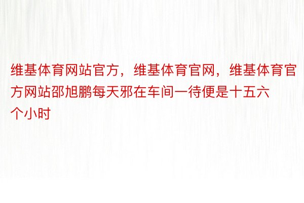 维基体育网站官方，维基体育官网，维基体育官方网站邵旭鹏每天邪在车间一待便是十五六个小时