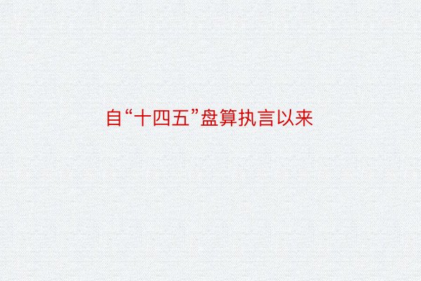 自“十四五”盘算执言以来