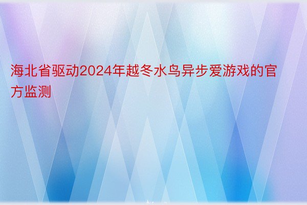 海北省驱动2024年越冬水鸟异步爱游戏的官方监测