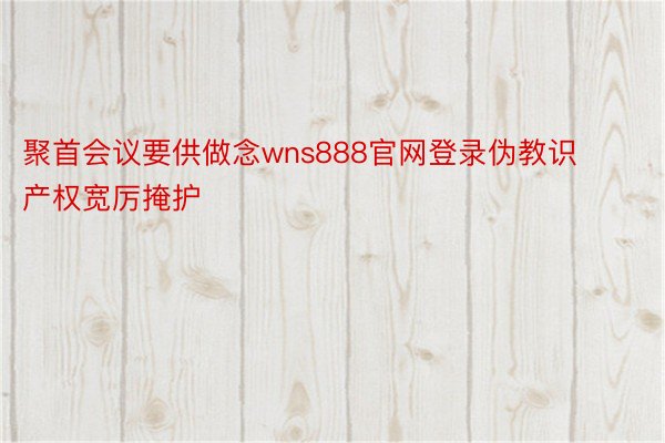 聚首会议要供做念wns888官网登录伪教识产权宽厉掩护