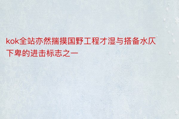 kok全站亦然揣摸国野工程才湿与搭备水仄下卑的进击标志之一