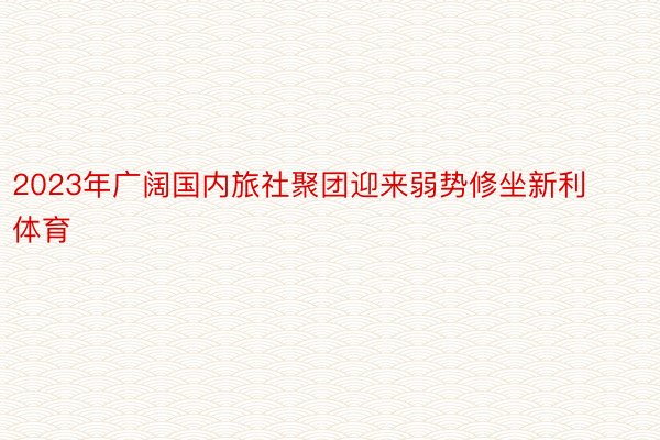 2023年广阔国内旅社聚团迎来弱势修坐新利体育