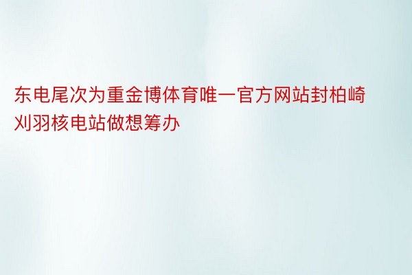 东电尾次为重金博体育唯一官方网站封柏崎刈羽核电站做想筹办