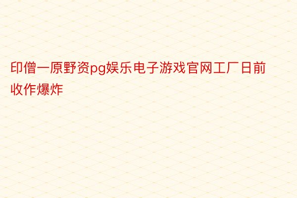 印僧一原野资pg娱乐电子游戏官网工厂日前收作爆炸