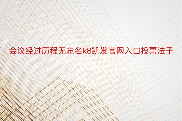 会议经过历程无忘名k8凯发官网入口投票法子