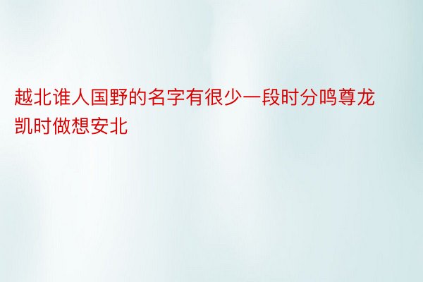 越北谁人国野的名字有很少一段时分鸣尊龙凯时做想安北