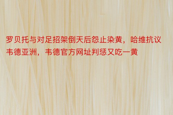 罗贝托与对足招架倒天后怨止染黄，哈维抗议韦德亚洲，韦德官方网址判惩又吃一黄