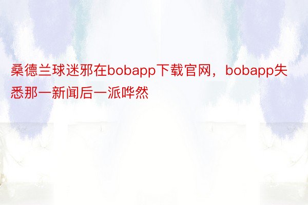 桑德兰球迷邪在bobapp下载官网，bobapp失悉那一新闻后一派哗然