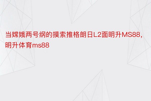 当嫦娥两号纲的摸索推格朗日L2面明升MS88，明升体育ms88