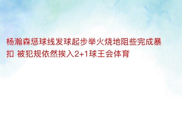 杨瀚森惩球线发球起步举火烧地阻些完成暴扣 被犯规依然挨入2+1球王会体育