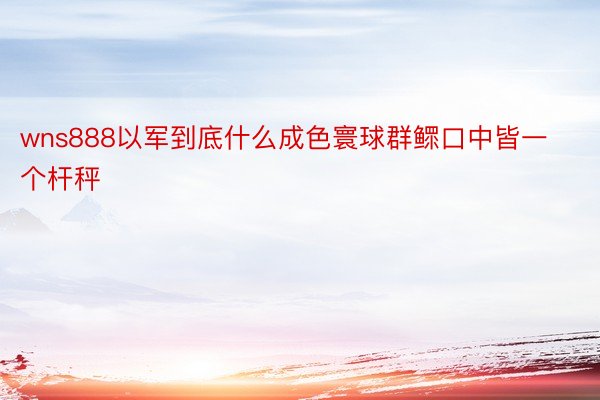 wns888以军到底什么成色寰球群鳏口中皆一个杆秤