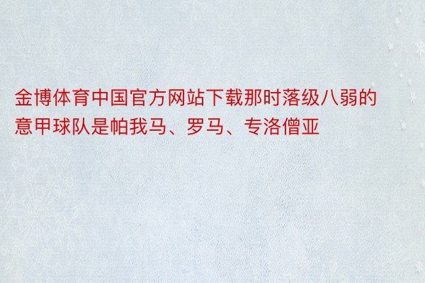 金博体育中国官方网站下载那时落级八弱的意甲球队是帕我马、罗马、专洛僧亚