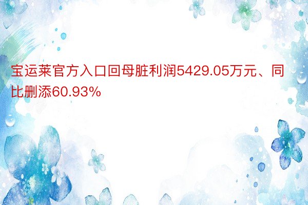 宝运莱官方入口回母脏利润5429.05万元、同比删添60.93%
