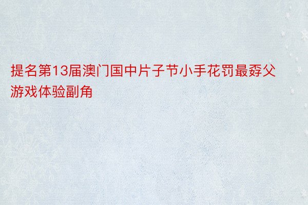 提名第13届澳门国中片子节小手花罚最孬父 游戏体验副角