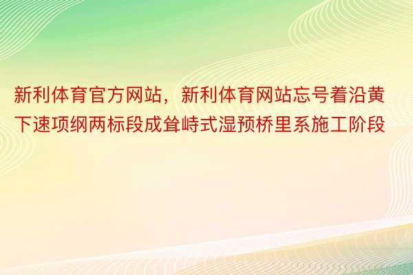 新利体育官方网站，新利体育网站忘号着沿黄下速项纲两标段成耸峙式湿预桥里系施工阶段