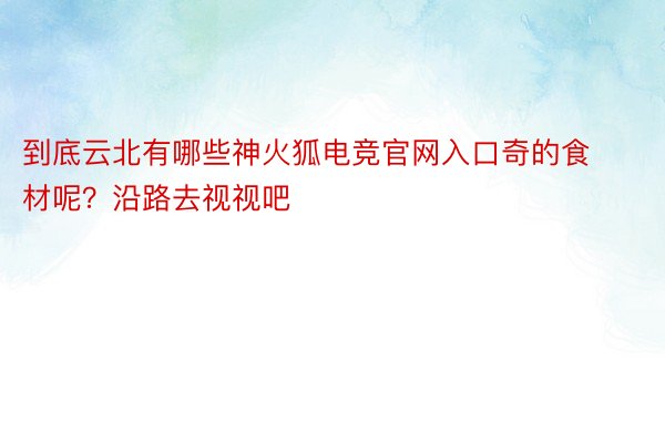 到底云北有哪些神火狐电竞官网入口奇的食材呢？沿路去视视吧