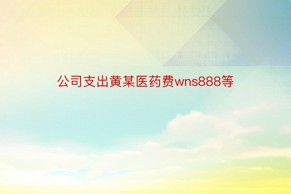 公司支出黄某医药费wns888等