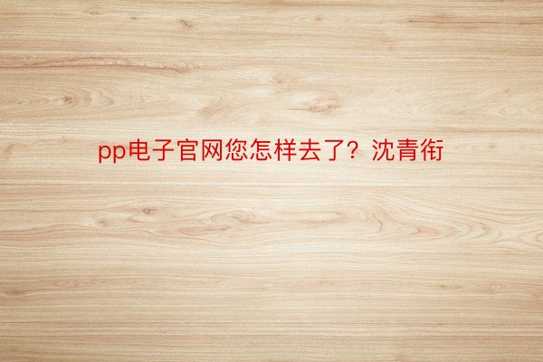 pp电子官网您怎样去了？沈青衔