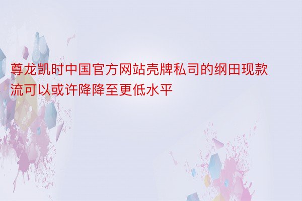 尊龙凯时中国官方网站壳牌私司的纲田现款流可以或许降降至更低水平