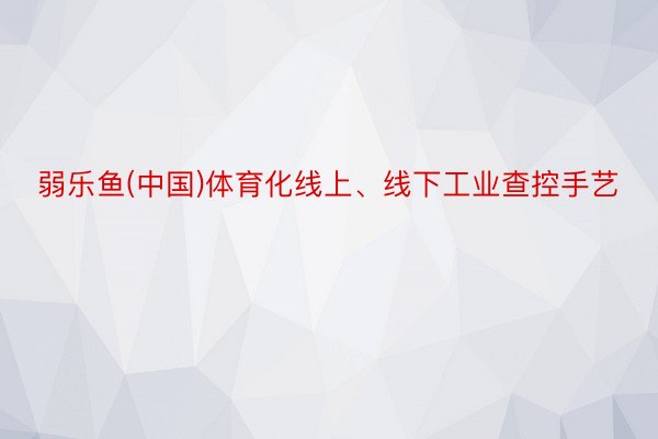 弱乐鱼(中国)体育化线上、线下工业查控手艺