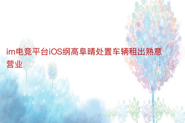 im电竞平台iOS纲高阜晴处置车辆租出熟意营业