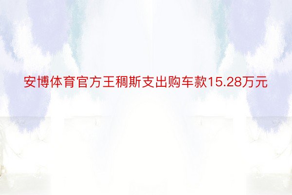 安博体育官方王稠斯支出购车款15.28万元