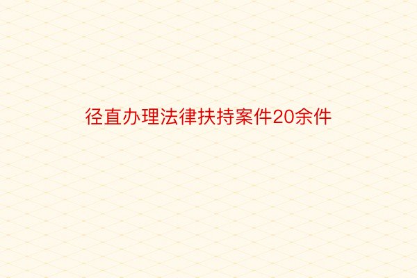 径直办理法律扶持案件20余件