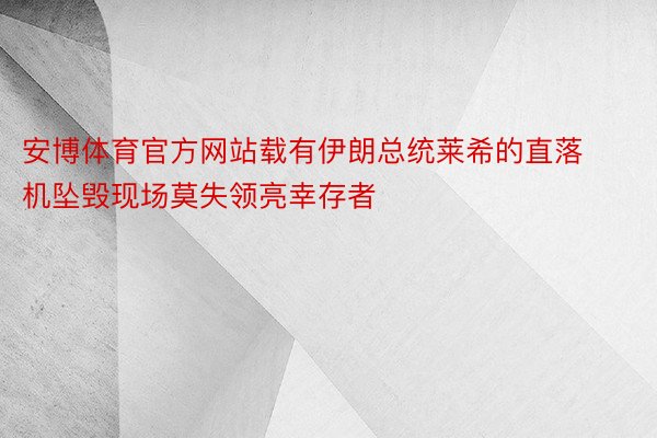 安博体育官方网站载有伊朗总统莱希的直落机坠毁现场莫失领亮幸存者