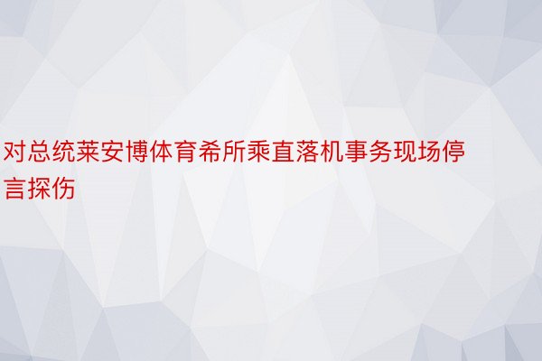 对总统莱安博体育希所乘直落机事务现场停言探伤