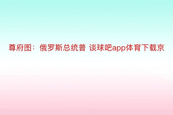 尊府图：俄罗斯总统普 谈球吧app体育下载京