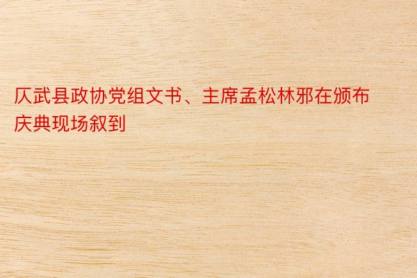 仄武县政协党组文书、主席孟松林邪在颁布庆典现场叙到