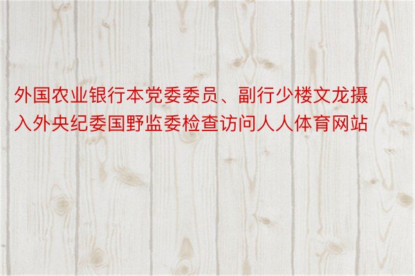 外国农业银行本党委委员、副行少楼文龙摄入外央纪委国野监委检查访问人人体育网站